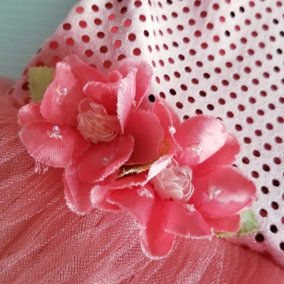 A WISH COME TRUE Gala Pink Ballet Leotard Tutu Dress Dance - Picture 8 of 15